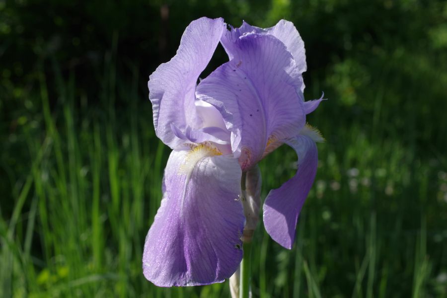 ����, modernbiology.ru