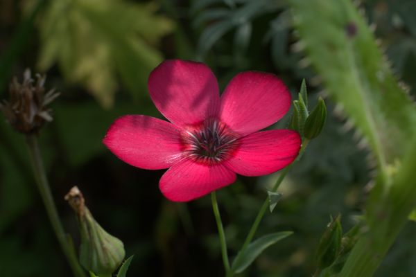 ��� �������, modernbiology.ru