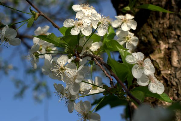 ����� �����, modernbiology.ru