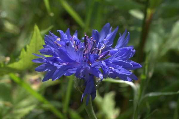������� �������, modernbiology.ru